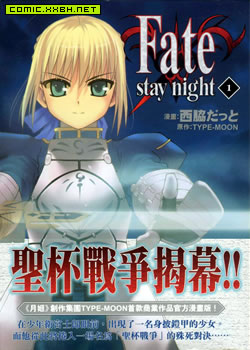 Fate stay night(单行本),Fate stay night(单行本)漫画