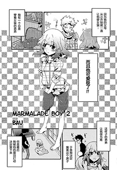 Marmalade Boy,Marmalade Boy漫画