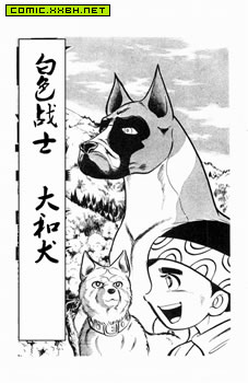 白色战士大和犬,白色战士大和犬漫画