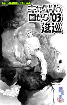 从卷心菜的国度而来,从卷心菜的国度而来漫画