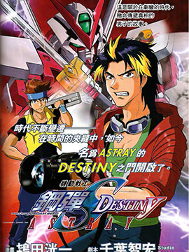 机动战士高达SEED DESTINY ASTRAY,机动战士高达SEED DESTINY ASTRAY漫画