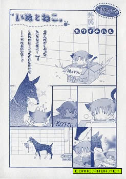 猫与狗,猫与狗漫画