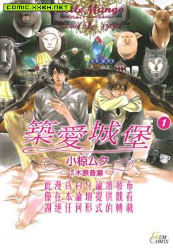 筑爱城堡,筑爱城堡漫画